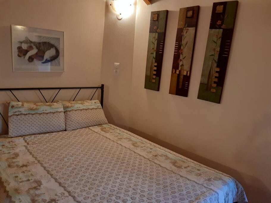 Kouros Villa! Πάλτση Πηλίου Εξωτερικό φωτογραφία