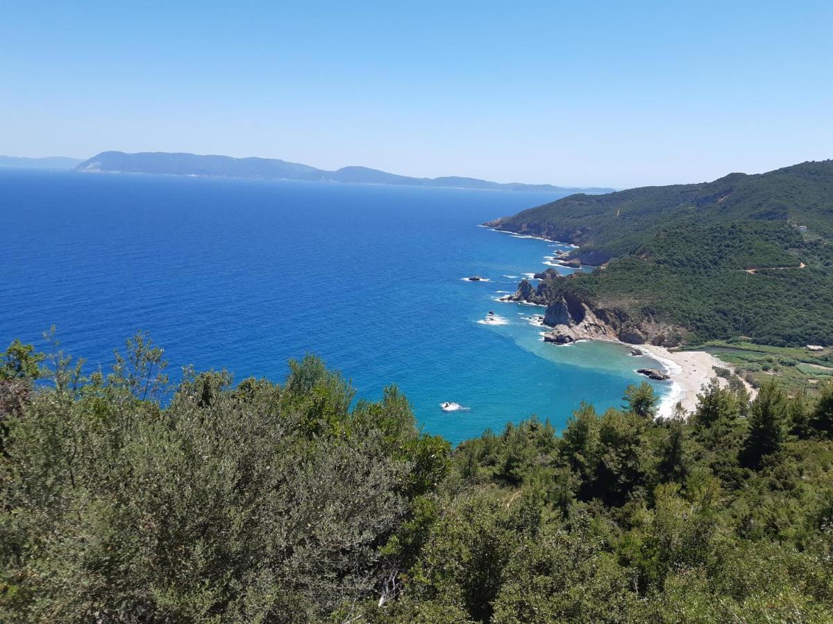 Kouros Villa! Πάλτση Πηλίου Εξωτερικό φωτογραφία