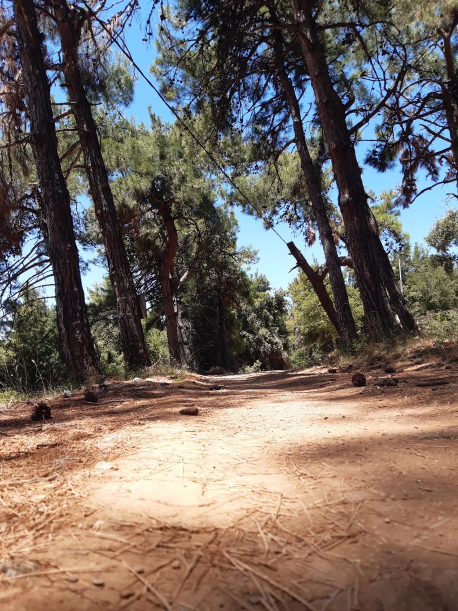Kouros Villa! Πάλτση Πηλίου Εξωτερικό φωτογραφία