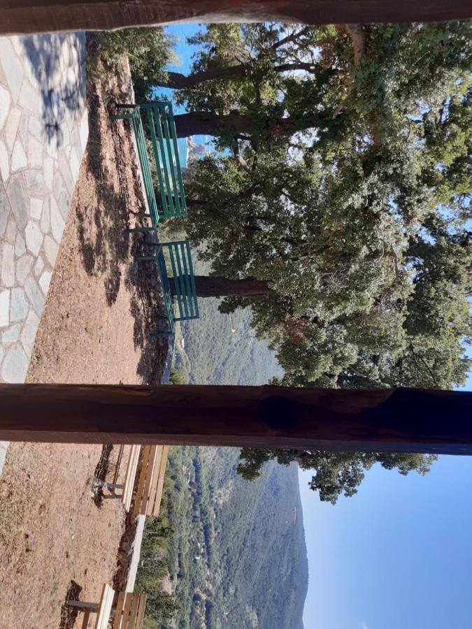 Kouros Villa! Πάλτση Πηλίου Εξωτερικό φωτογραφία